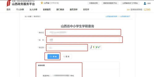 如何打造一个高效的自助查询网站？制作步骤与技巧详解