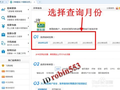 如何在移动端使用自助查询系统来提升网站体验？