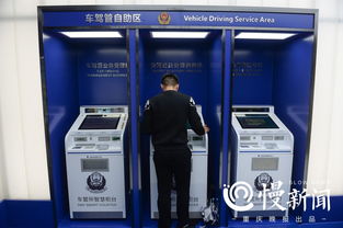 如何在重庆使用自助服务平台处理违章事项？