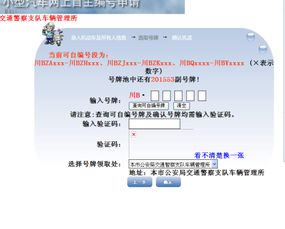 如何在网上的自助选号平台进行高效选号？