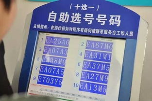 如何在西安市的自助选号平台进行车牌号自选？