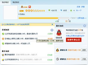 如何实现24小时自助下单QQ业务？探索高效便捷的服务体验