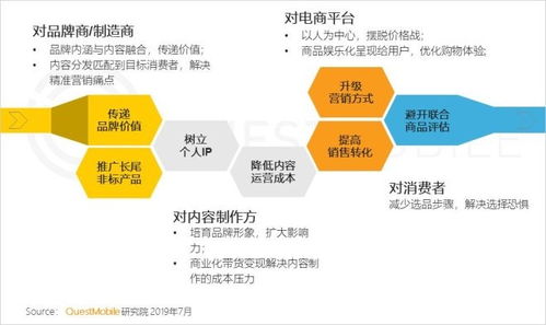 如何自主搭建一个高效的电商平台？掌握哪些关键步骤和策略？