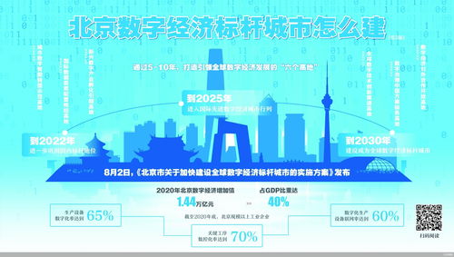 如何确立自助开发网络平台的建设目标？
