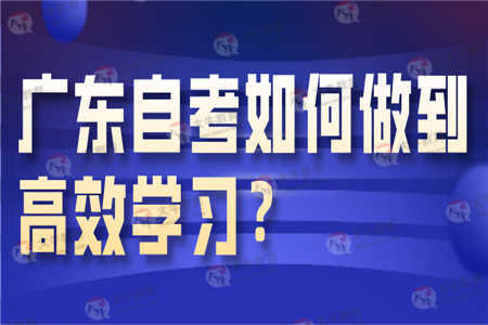 如何登录自考学生专用的自助平台？探索高效学习新途径