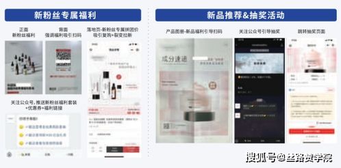 如何找到可靠的视频号刷粉自助下单网站，实现粉丝量快速提升？