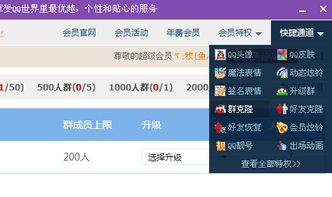 如何找到靠谱的QQ号自助收号平台？揭秘优质号码获取技巧！