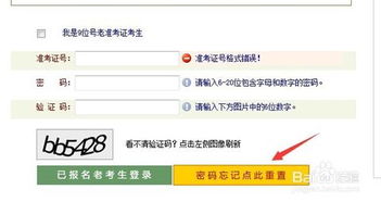 如何找回国光应聘自助平台的原密码？