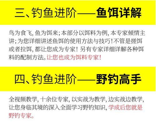 如何自己在网上操作交强险下单？掌握这几个步骤轻松完成