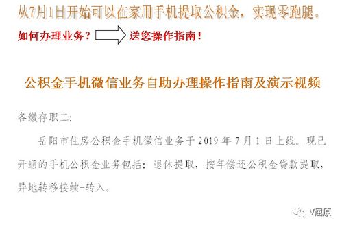 如何自主观看办理业务的教学视频？自助服务指南来了！