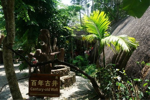 如何找到官方自助旅游平台入口？探索便捷的自助旅行新途径