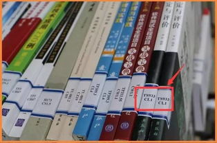 如何找到心仪书籍？揭秘自助搜书网站的实用技巧