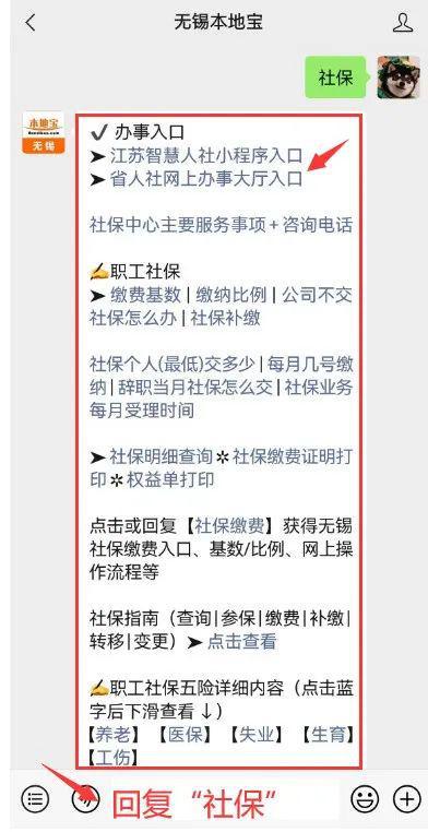 如何登录社保网上自助服务平台？探索快速认证与操作指南