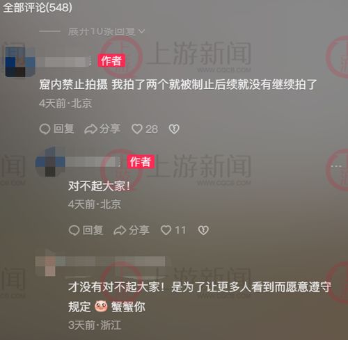 博主是如何通过拍照技巧实现盈利的？