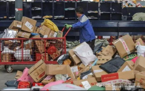 快递员转行做烤鹅能赚钱吗？真实经历视频分享