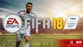 FIFA是如何实现盈利的？其商业模式有何独特之处？