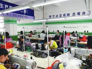 鞋子加工厂能否带来稳定收益？值得一试吗？