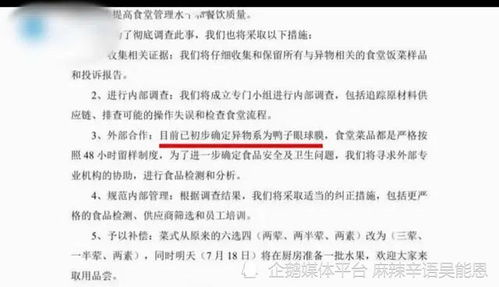 学校网究竟指的是什么？其含义详解