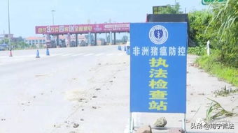 在当前市场环境下，开设哪种门面更有利可图？