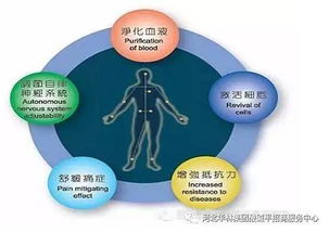 DDS生物电理疗真的能带来可观收入吗？