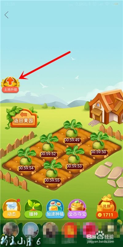 如何在拼多多农场获取助力？助力方法大公开