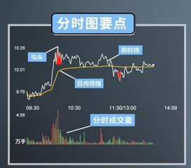 如何在绵阳快速赚取收入？有哪些高效途径？