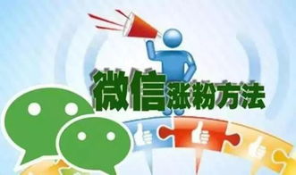 如何成功迈出微信代理第一步？高效吸粉技巧又有哪些秘诀？