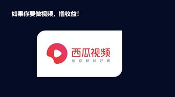 如何在头条西瓜平台通过拍摄视频实现盈利？