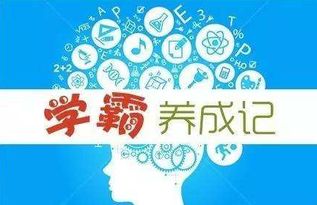Java副业初学者，如何快速掌握技能并变现？