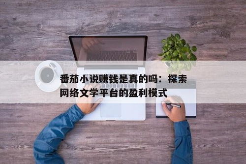 看番茄小说能否实现真正盈利？真相探究