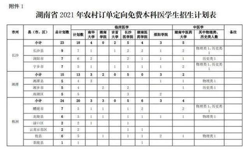 如何在大学期间规划未来，确保毕业后能实现高收入？