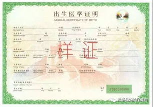 出生证除了证明身份，还隐藏了哪些额外功能？