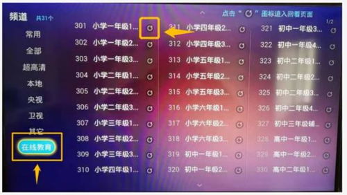 在光明大陆上，有哪些高效途径能快速积累财富？