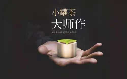怎样在未来有效提升自己的赚钱能力？