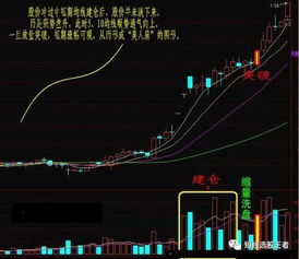 均线策略真的能帮你稳定盈利吗？
