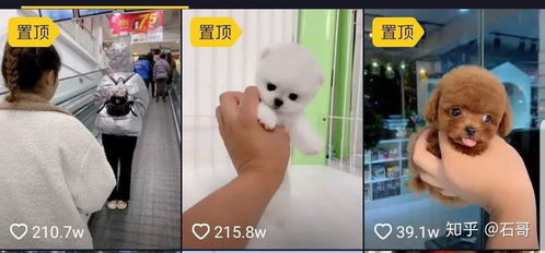 如何在cos圈开展副业赚钱？圈内达人分享成功秘诀！