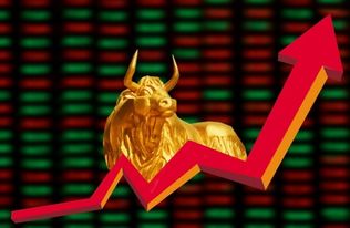 纳福宝是如何实现盈利的？它的赚钱秘诀是什么？