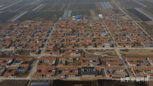 在四川农村，哪些工厂能迅速带来盈利？