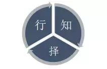 共富国际是否真的具备盈利潜力？投资者需知的关键信息