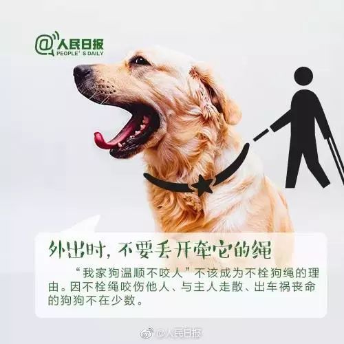 哪种狗狗养殖方式最能带来经济效益？