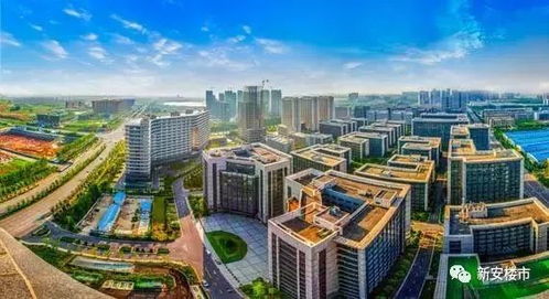 合肥高新区如何实现财富增长？成功秘诀在哪里？