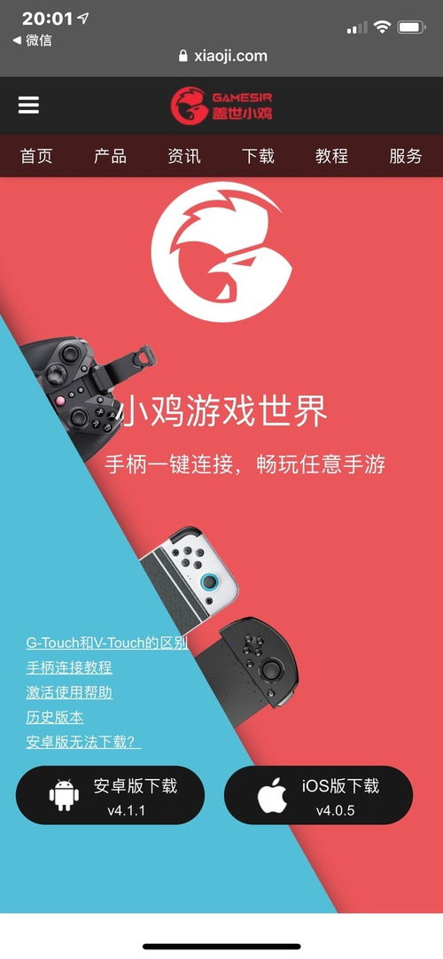 养小鸡苗投资回报如何？真的能赚钱吗？