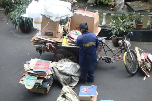 农村小伙靠卖废品真的能赚钱吗？他的创业故事引人深思
