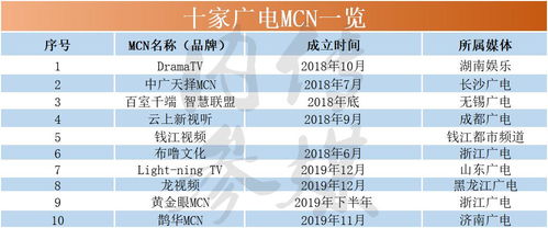 哪个平台养宠物最能实现盈利？选择指南解析
