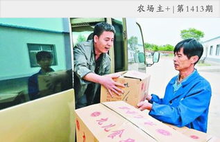 农村兄弟创业，做什么项目能快速盈利？