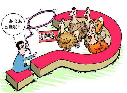 买基金如何确保盈利避免亏损？掌握这些技巧了吗？