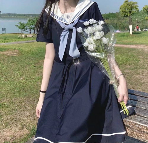 如何通过365天视频教程轻松赚钱？全集指南在此！