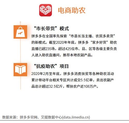 如何高效填写拼多多助力登记表格？详解步骤与注意事项