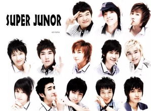 Super Junior成员都在忙什么副业？他们的第二职业你知道吗？