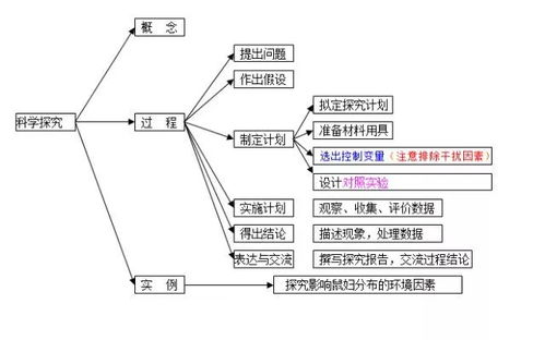 大猫如何高效赚钱？一张思维导图解析成功秘诀！